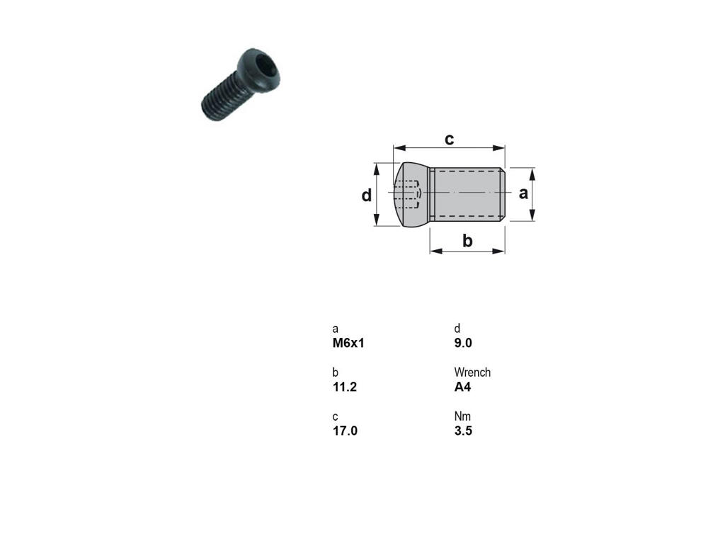 CANELA SKRUE 1006L