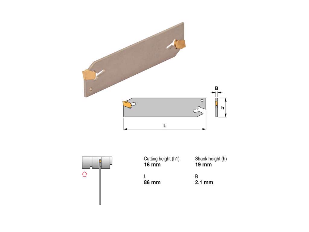 CANELA STIKBLAD XLCTN 1901 X02