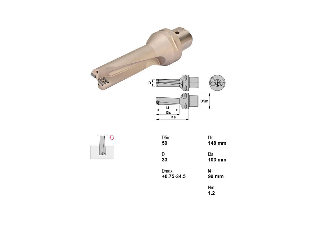 CANELA BOR PSC50-453433