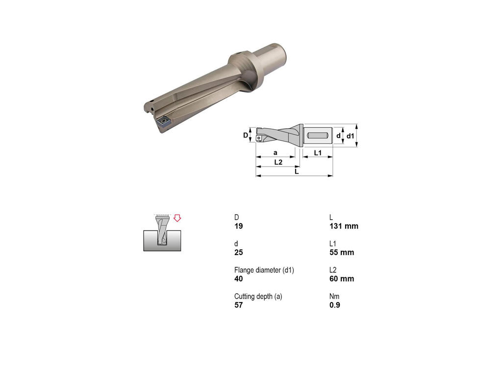 CANELA KORTHULSBOR 19 MM